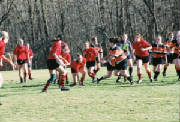 rugbysouth1.jpg