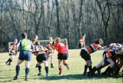 rugbysouth2.jpg